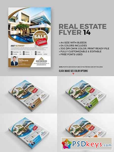 Real Estate Flyer 14
