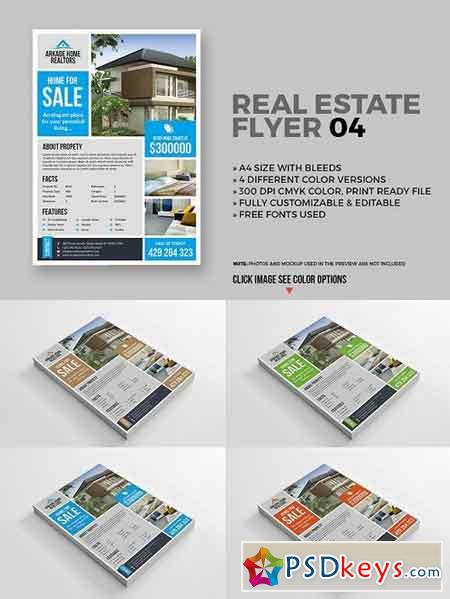 Real Estate Flyer 04