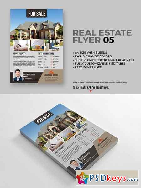 Real Estate Flyer 05