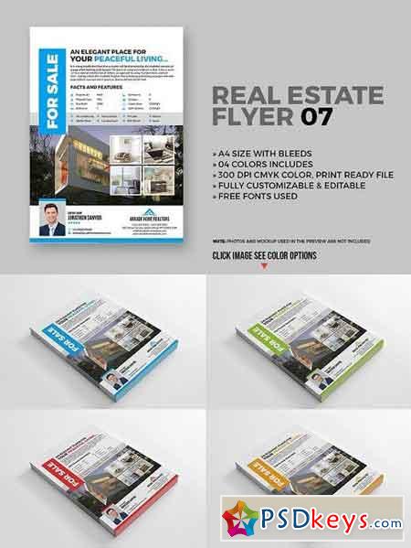 Real Estate Flyer 07