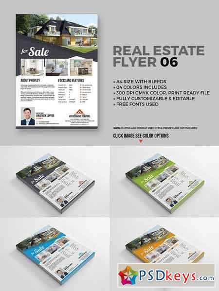 Real Estate Flyer 06
