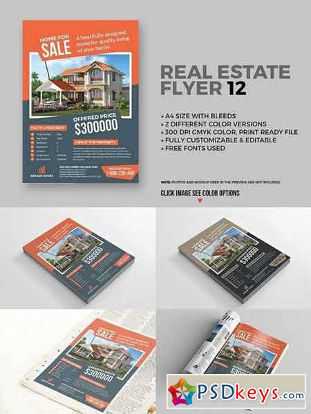 Real Estate Flyer 12