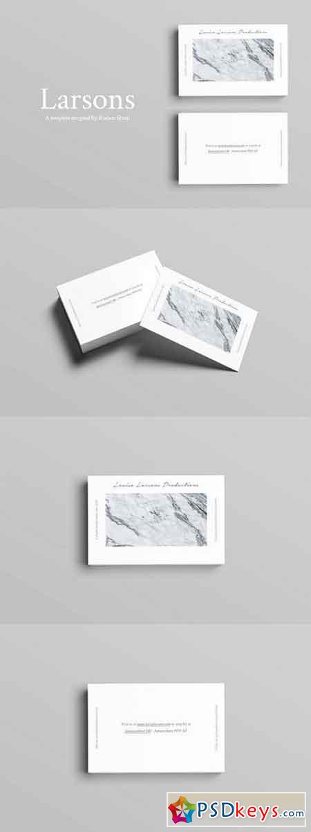 Larsons Business Cards 1472110