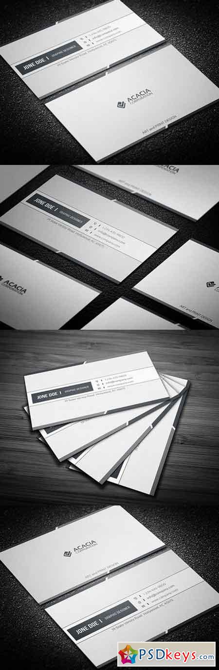 Simple Business Card 843349