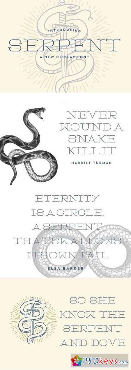 Serpent Typeface 1294473