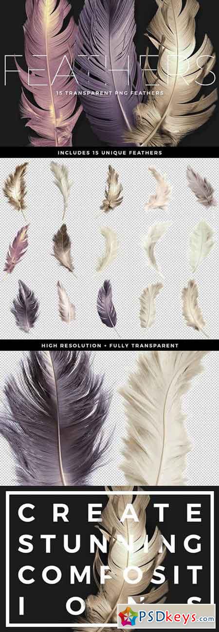 Transparent PNG Feathers Pack 1505546