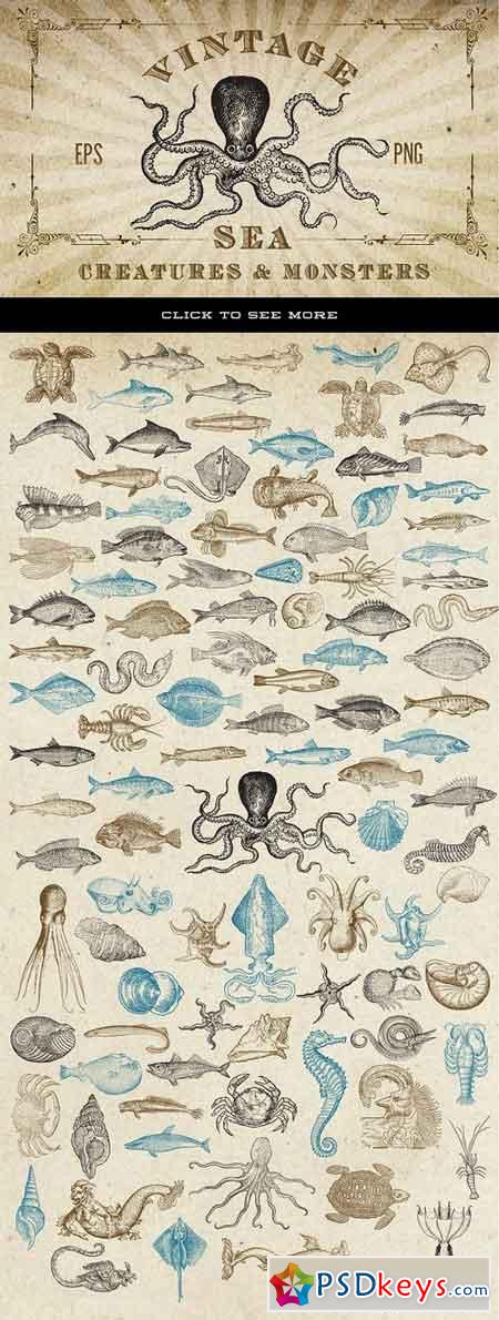 Antique Sea Creatures & Monsters 536638