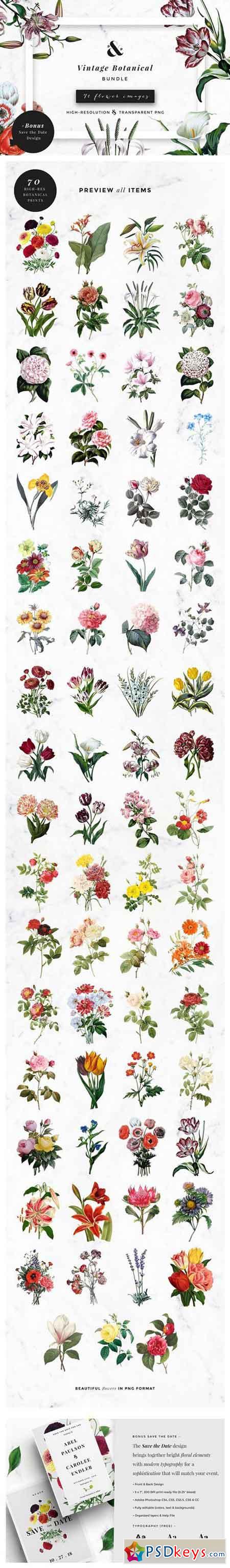 Vintage Botanical Bundle 1488786