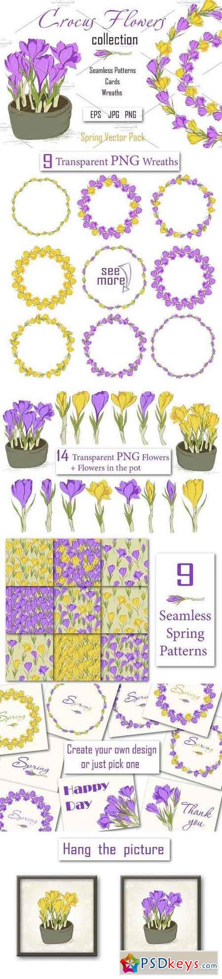 Crocus. Spring Flowers collection 597555