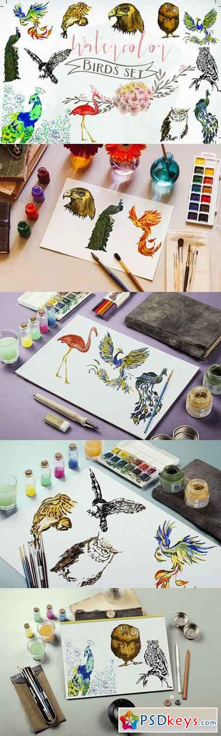 Watercolor birds set 1530584