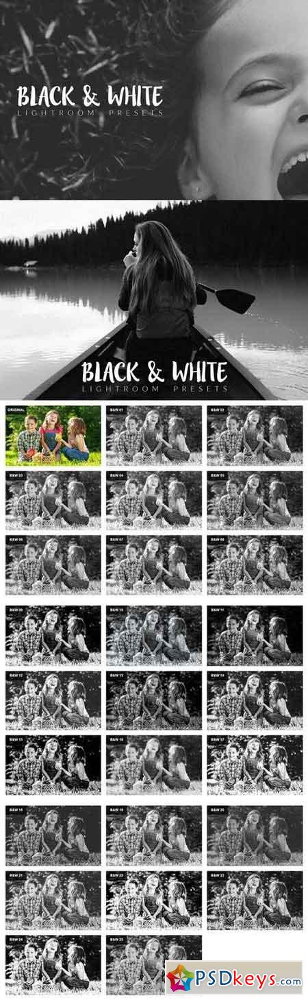 Black and White Lightroom Presets