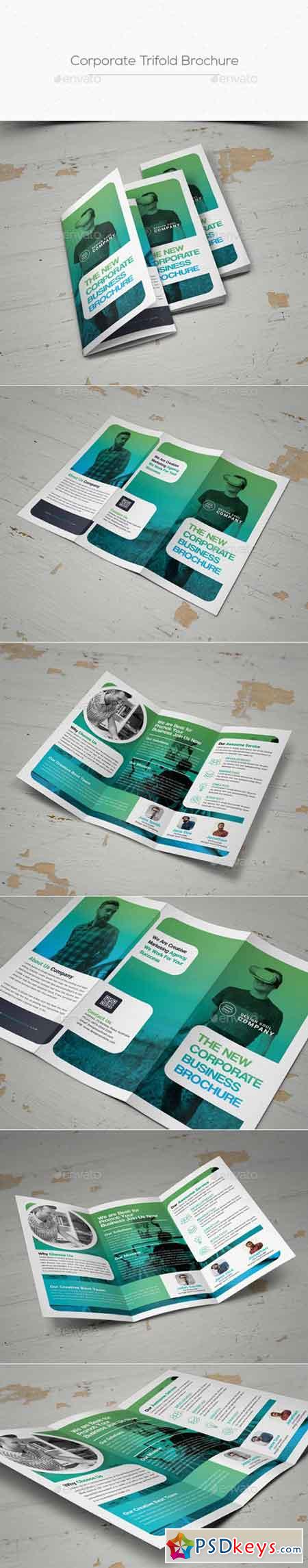 Trifold Brochure 20175694