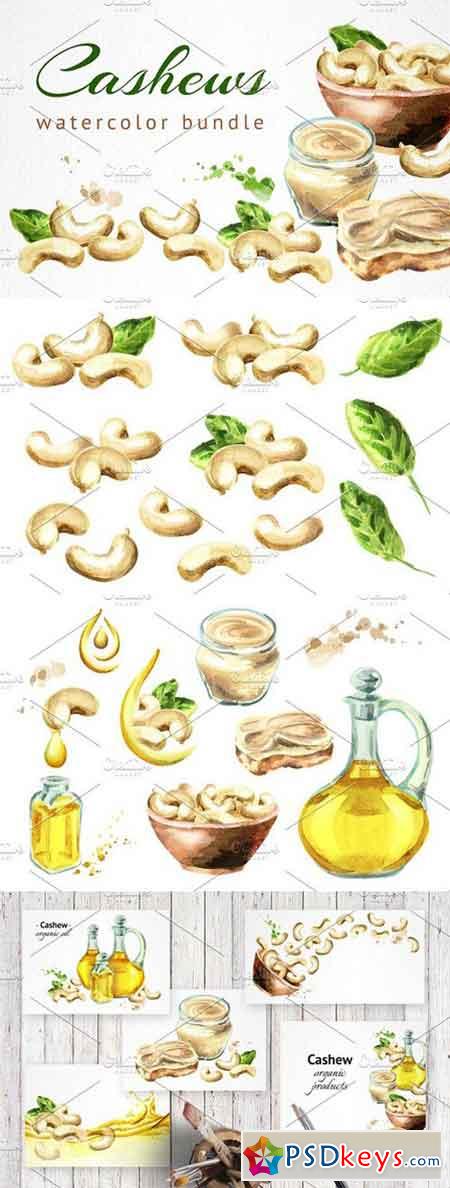 Cashews bundle. Watercolor 1531172