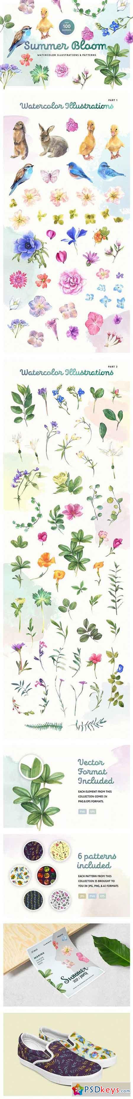Summer Bloom Watercolor Set 1529406