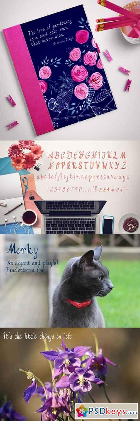 Merky - an elegant and playful font 1530750