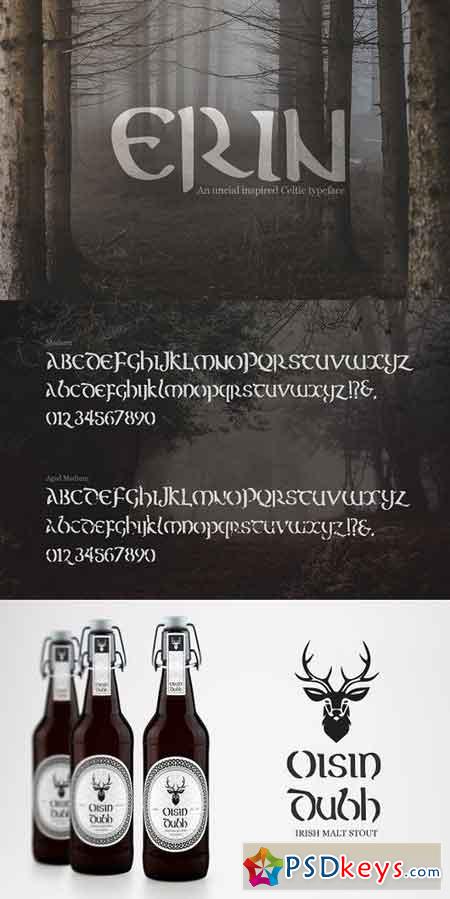 Erin - A Mystical Celtic Typeface 1308537