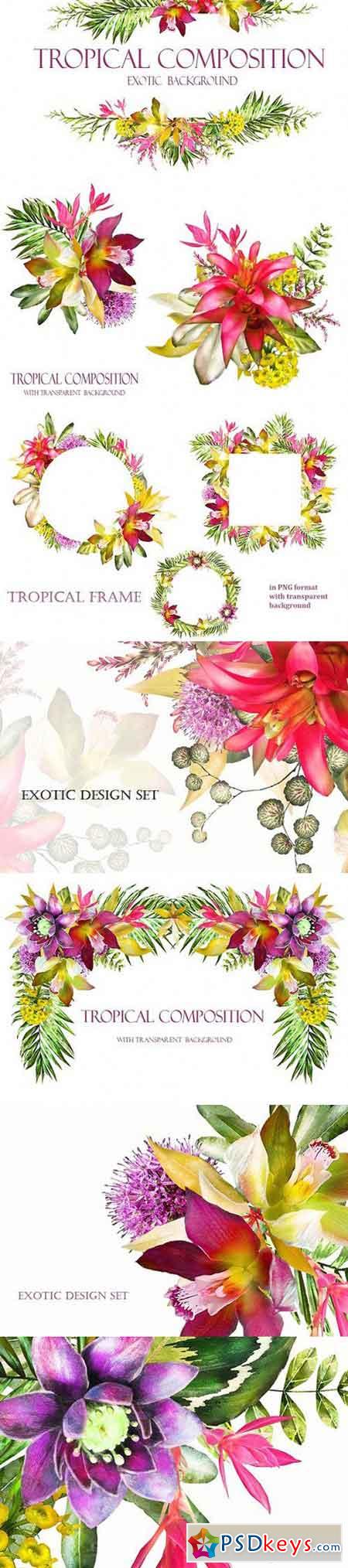 Tropical collection. Summer design. 1544775