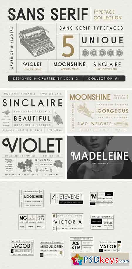 Sans Serif Typeface Collection 1545931