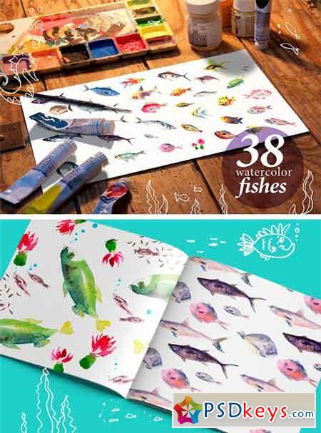 38 Watercolor Fishes 1522781