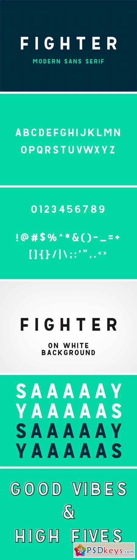 Fighter - Moder Sans Serif Font 1581434