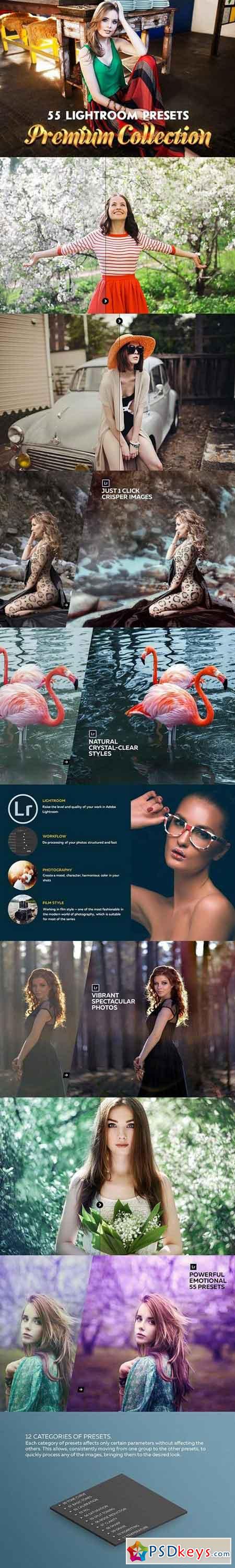 55 Premium Lightroom Presets 1437554