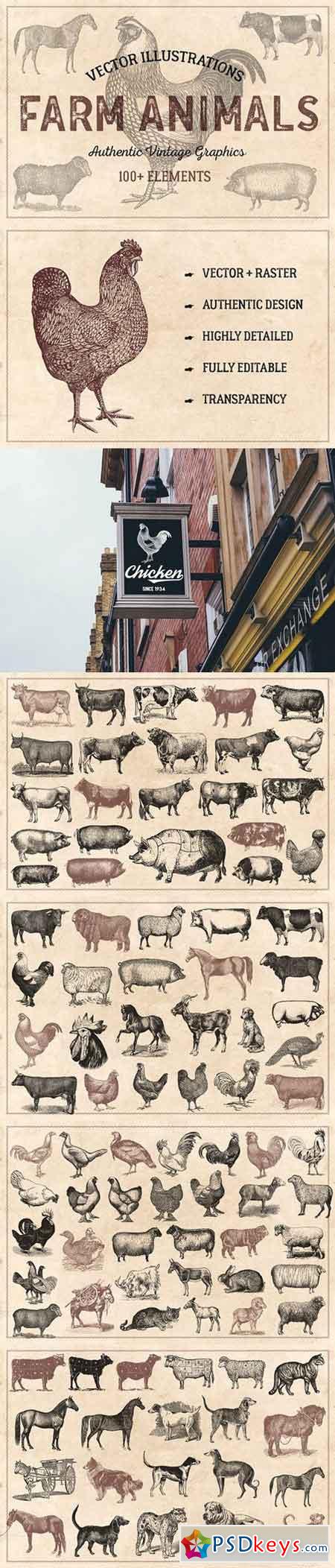 100 Vintage Farm Animals (Vector) 1572409