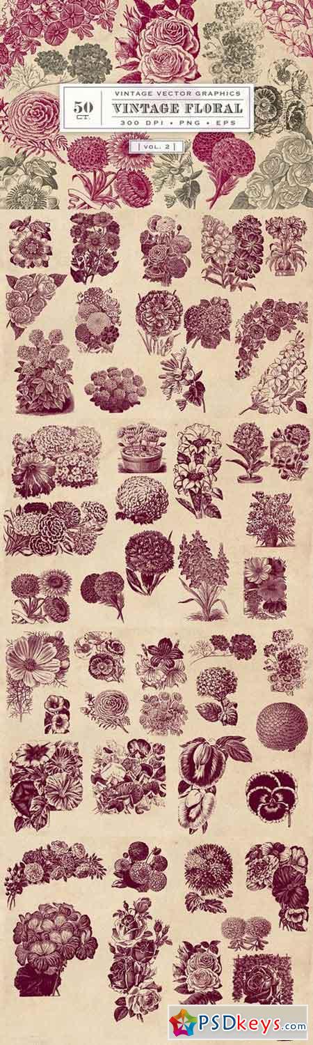 Vintage Flower Vector Graphics 2 1587133
