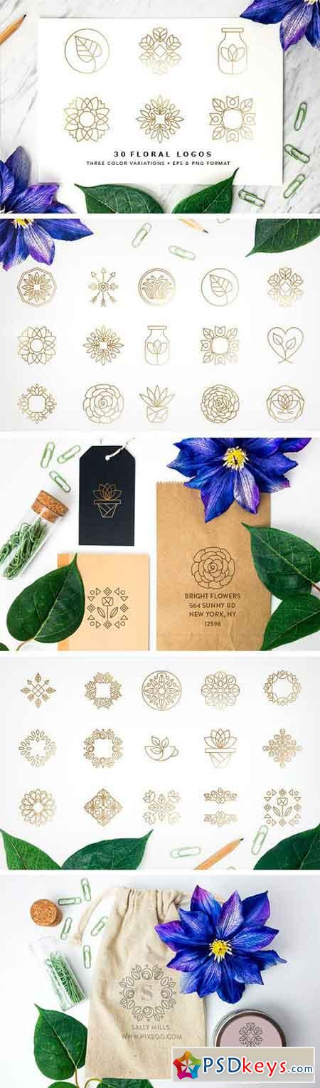 Floral Logo Collection EPS & PNG 1500057