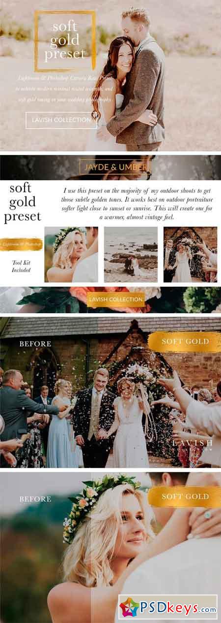 Soft Gold Wedding Presets 1527698