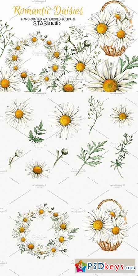 Watercolor Daisies Clipart 1595181