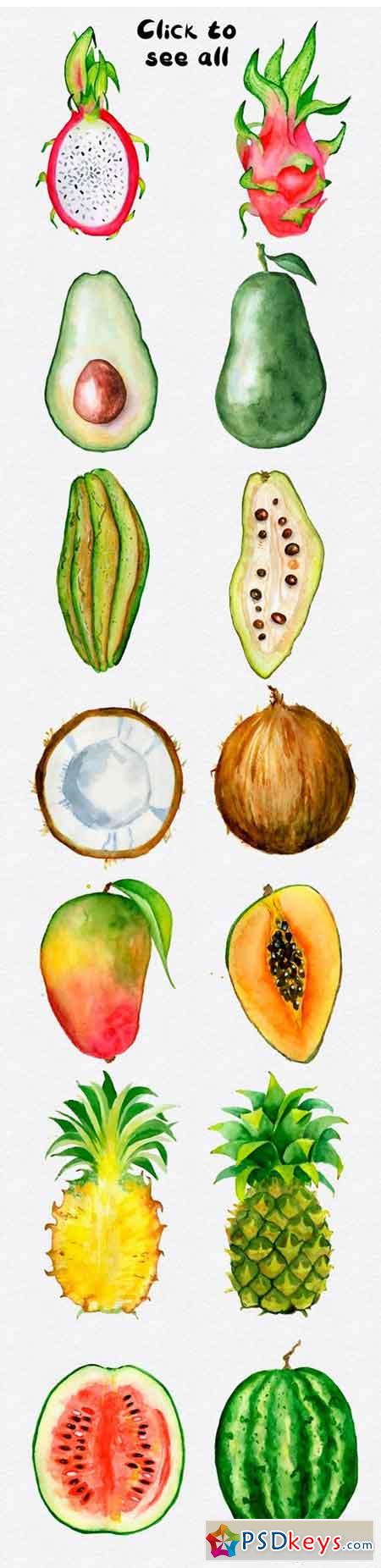 Watercolor Tropical Fruits Clipart 1623924