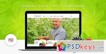 Fresh Food – Organic Food Fruit Vegetables eCommerce PSD Template 18066207