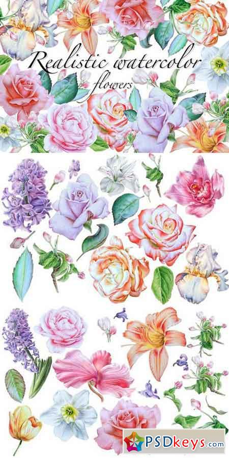 Realistic watercolor flowers 1626811