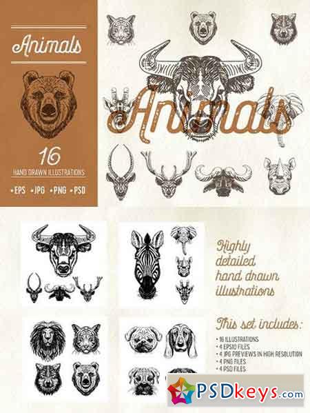 16 hand drawn animal heads 1616671