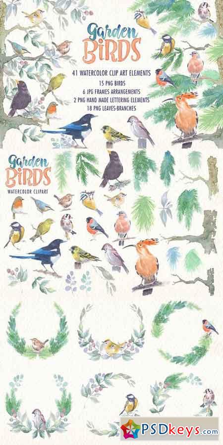 Garden birds watercolor clipart 1632390