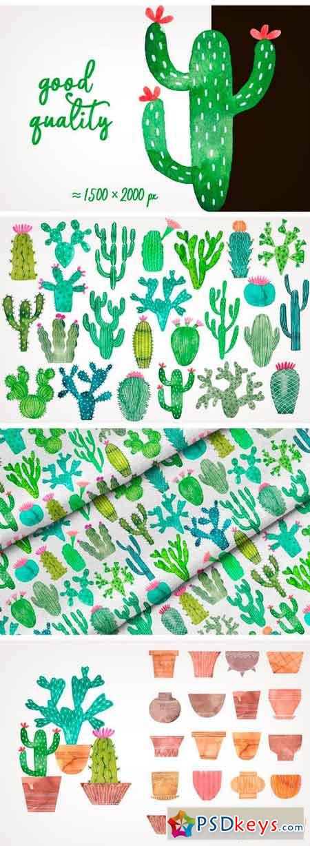 Watercolor Cactus 1642718