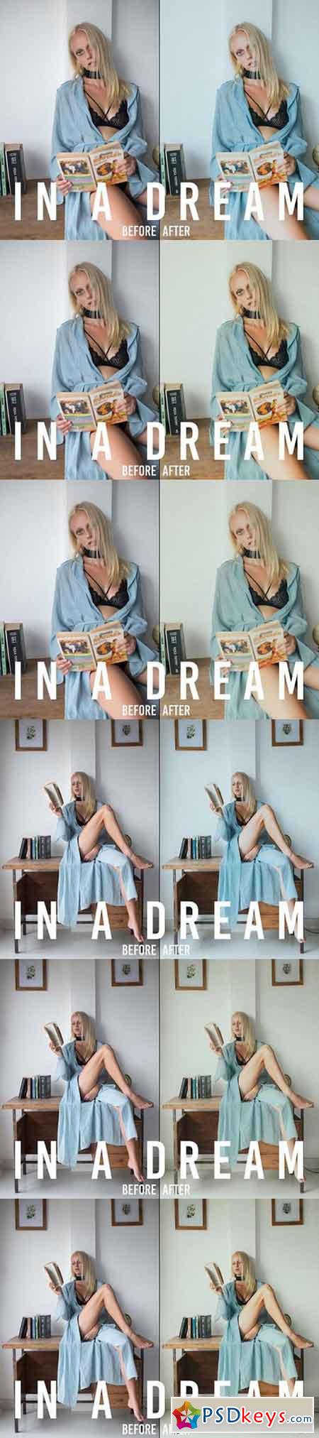In A Dream Lifestyle LR Presets 1654133