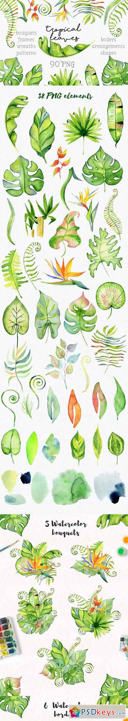 Tropical leaves Watercolor clipart 1635666