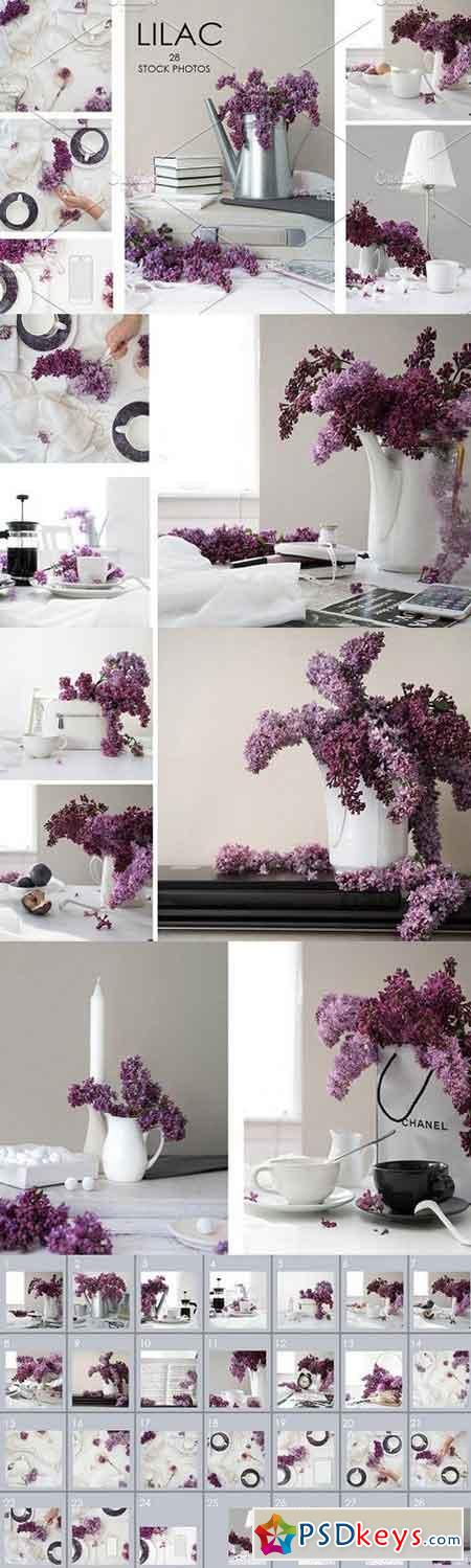 FLOWERS OF LILAC. 28 STOCK PHOTOS. 1636373