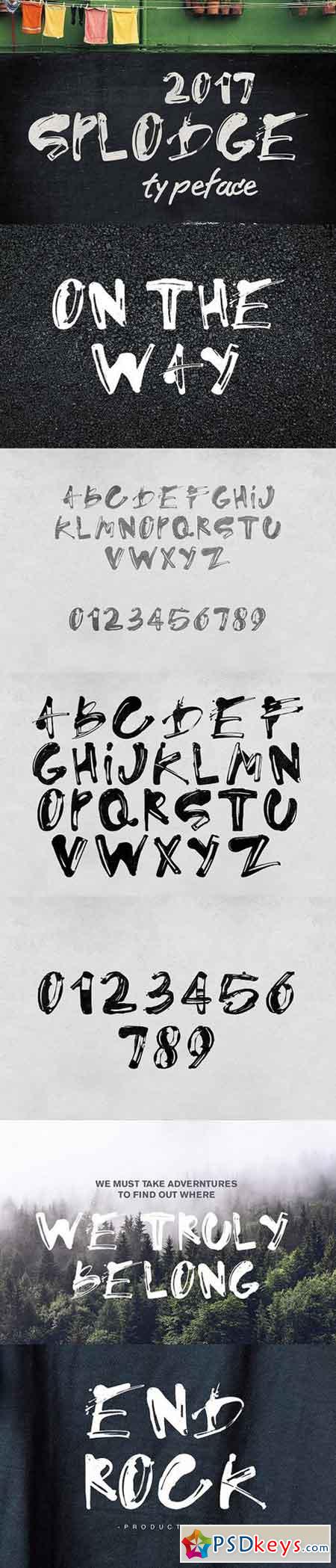 Splodge Typeface 1655162