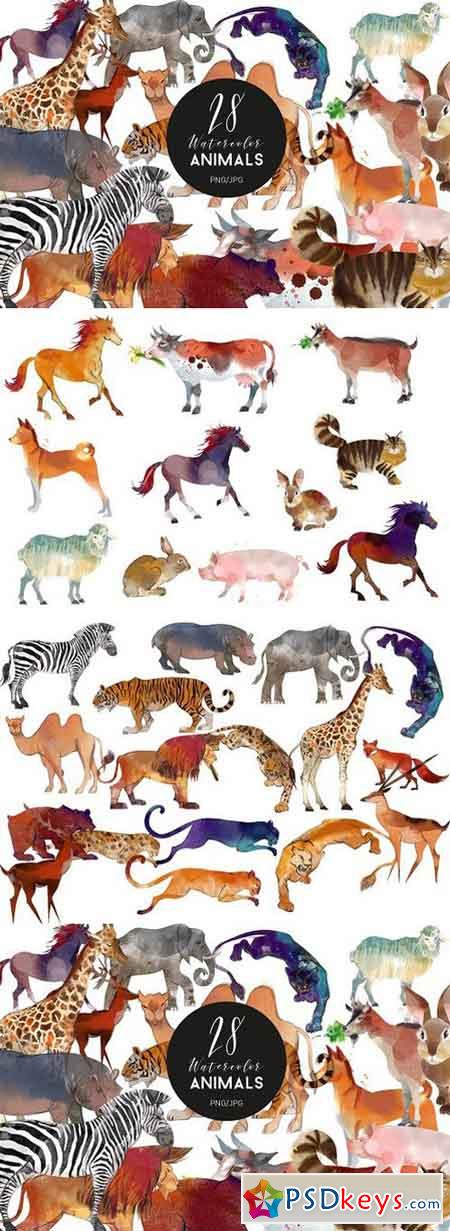 Watercolor animal set 1636676