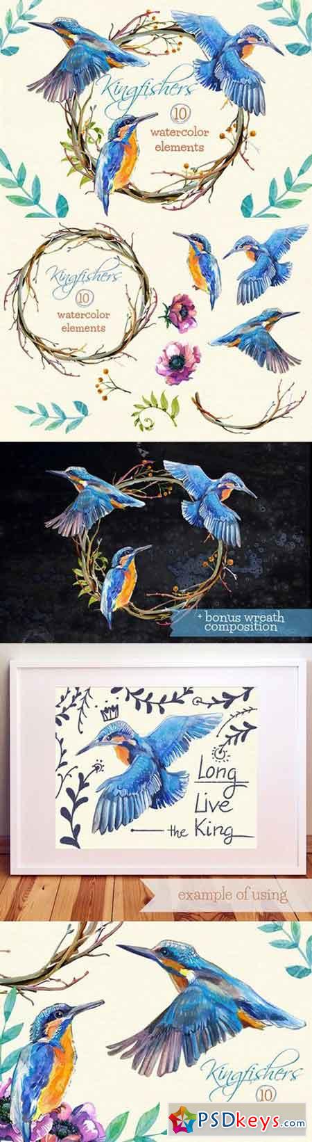 Kingfishers Watercolor Clip Arts -10 1635309