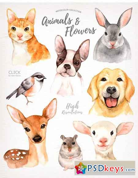 Animals & Flowers Watercolor Clipart 1624478