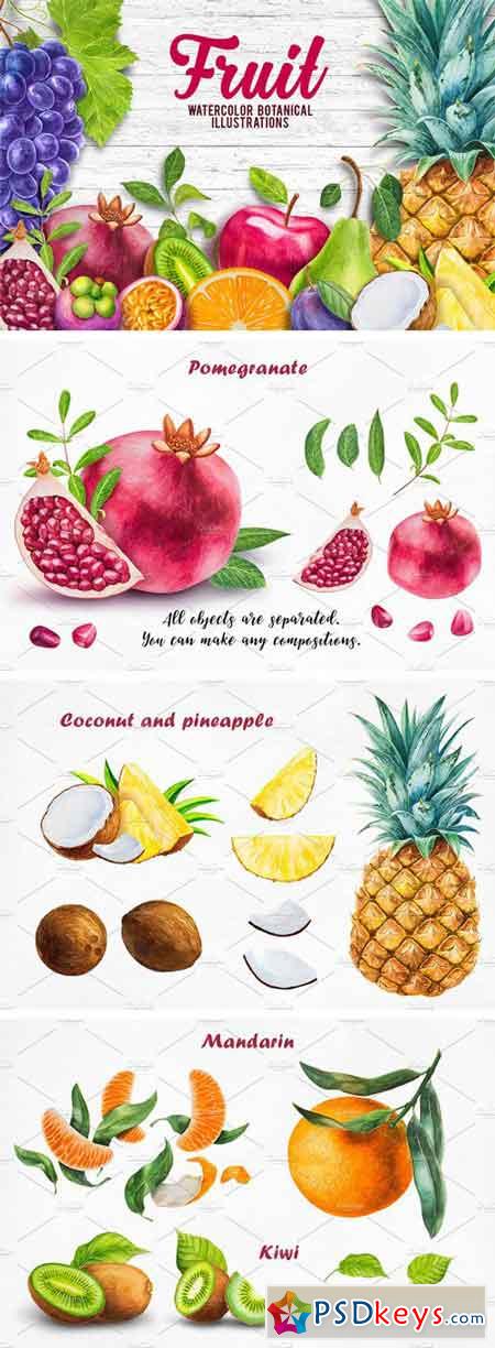Watercolor Fruits Collection 1657955