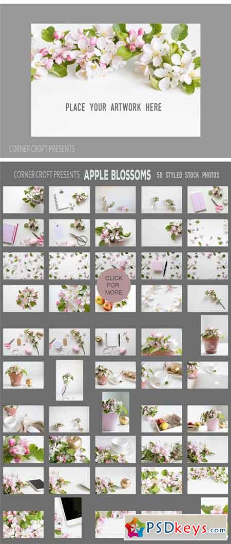Apple Blossom Styled Photo Bundle 1501809