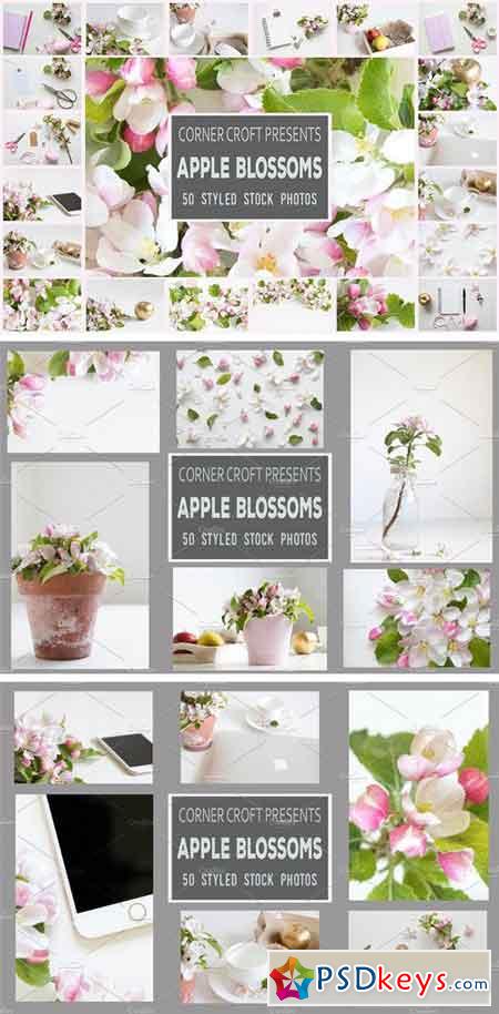 Apple Blossom Styled Photo Bundle 1501809