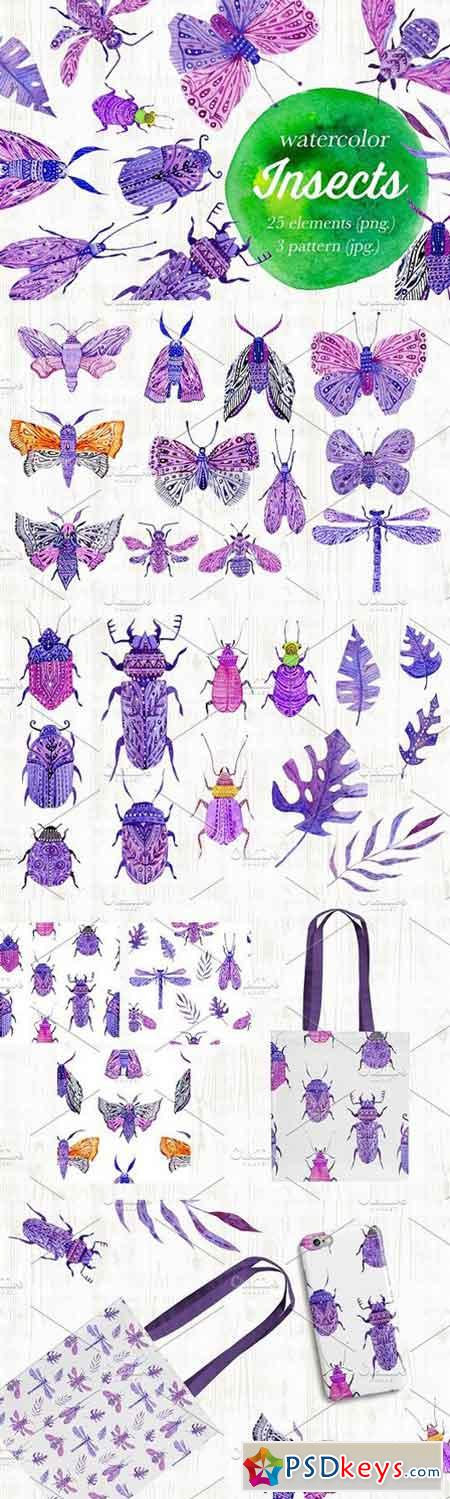 Watercolor insects, bugs, moths. 1659525