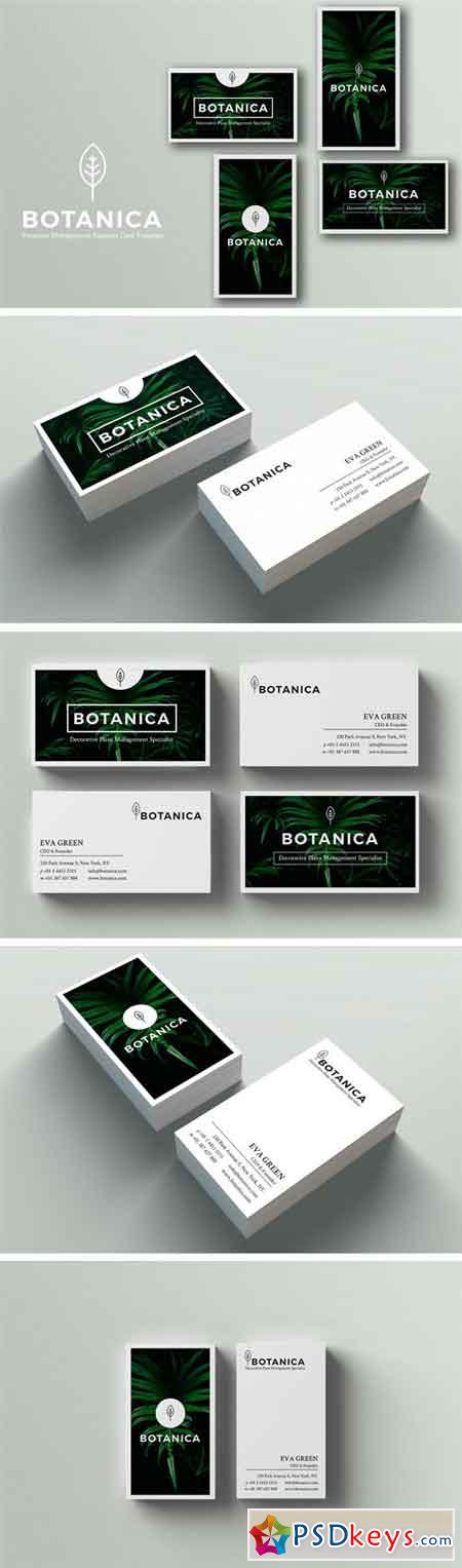 BOTANICA Business Card Template 1682296