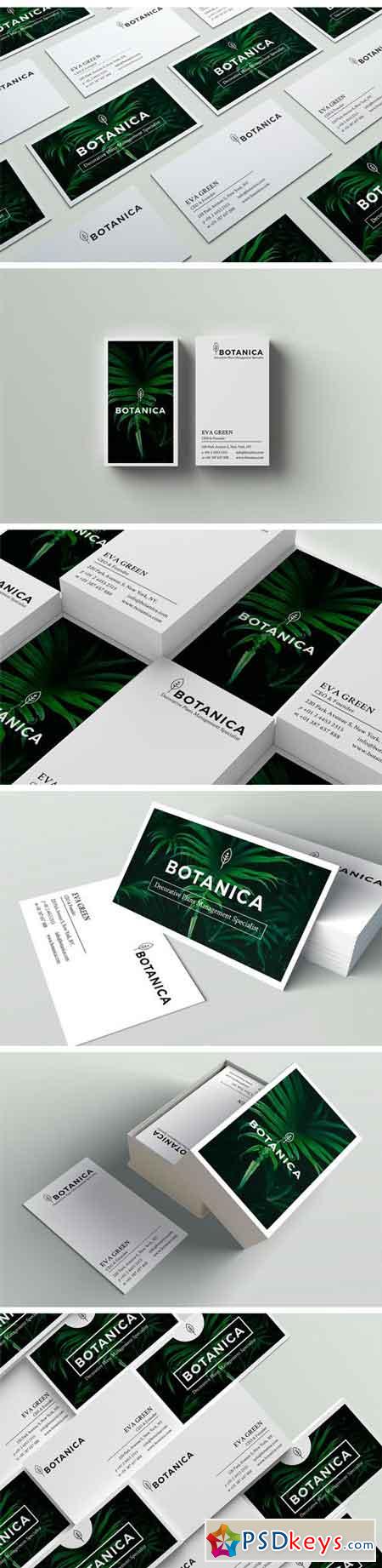 BOTANICA Business Card Template 1682296