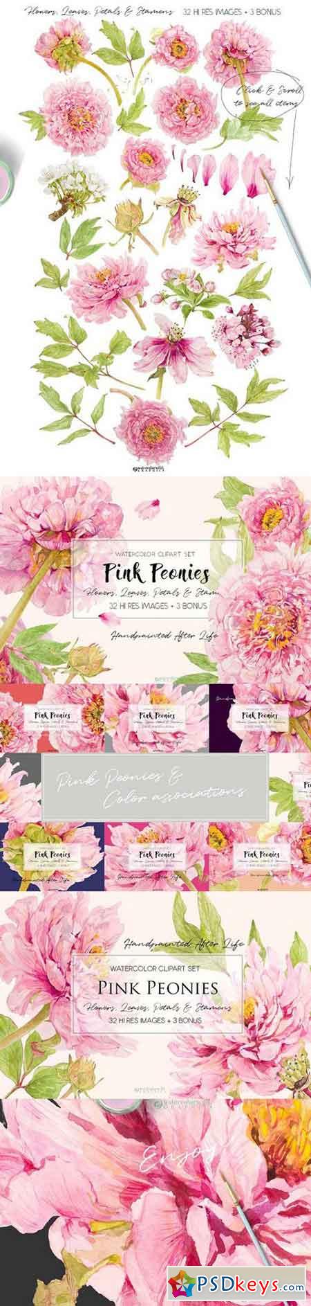 Pink Peonies-Clipart Set 1518921